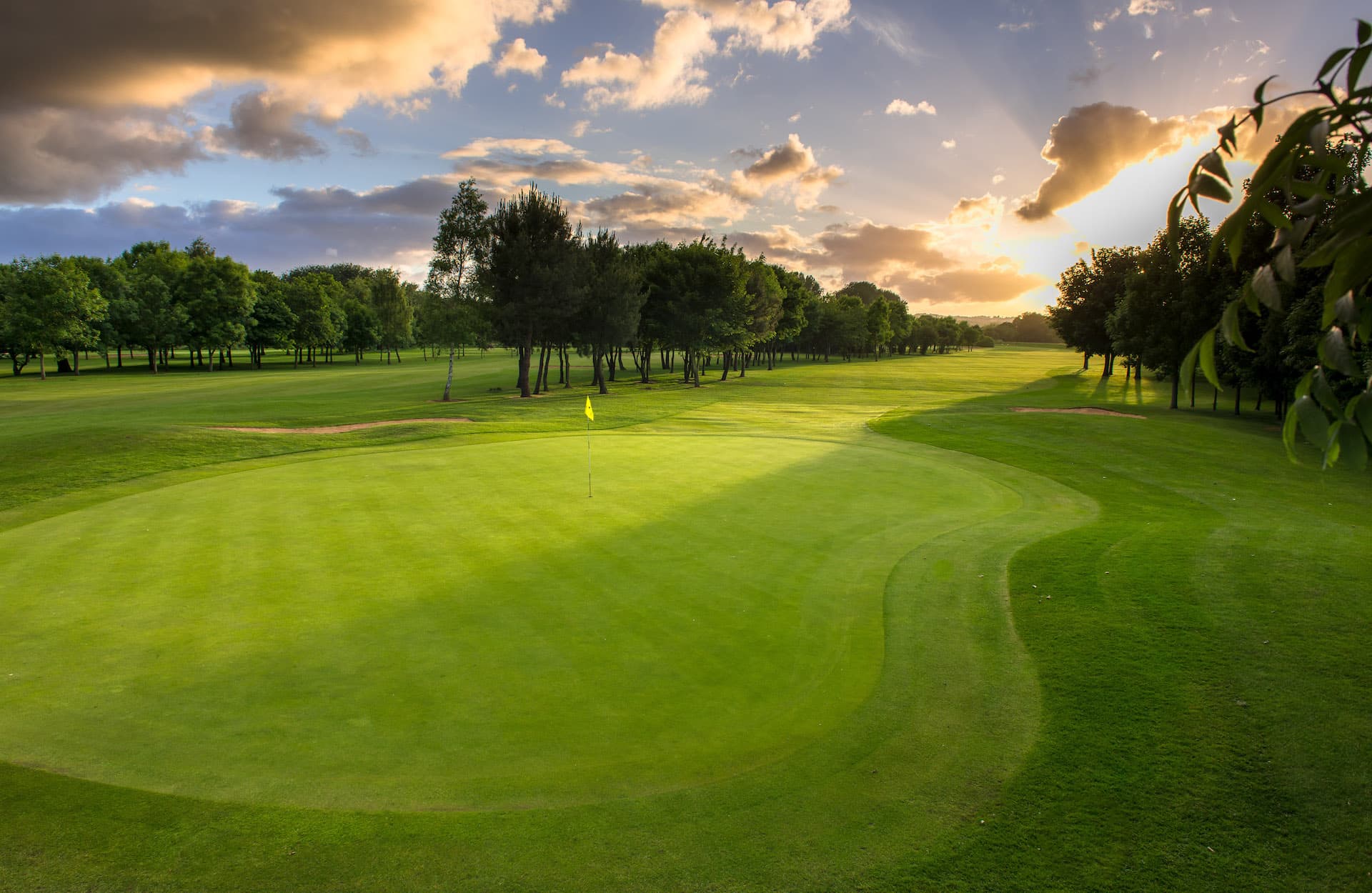 Golf Tee Times